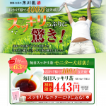 400万包突破！市川園「毎日スッキリ茶」初回限定443円モニターキャンペーン