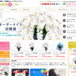 業界最安値の胡蝶蘭販売　胡蝶蘭園.com